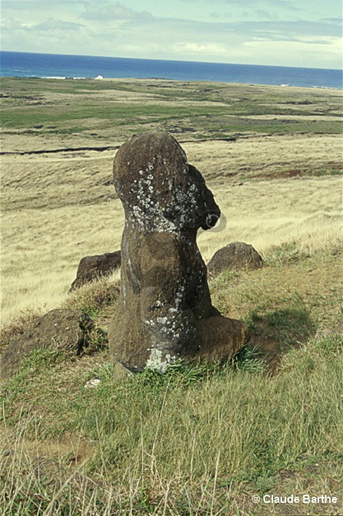 image24